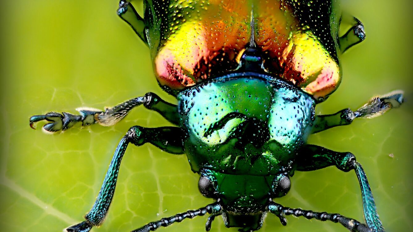 Fot:alan-emery/unsplash