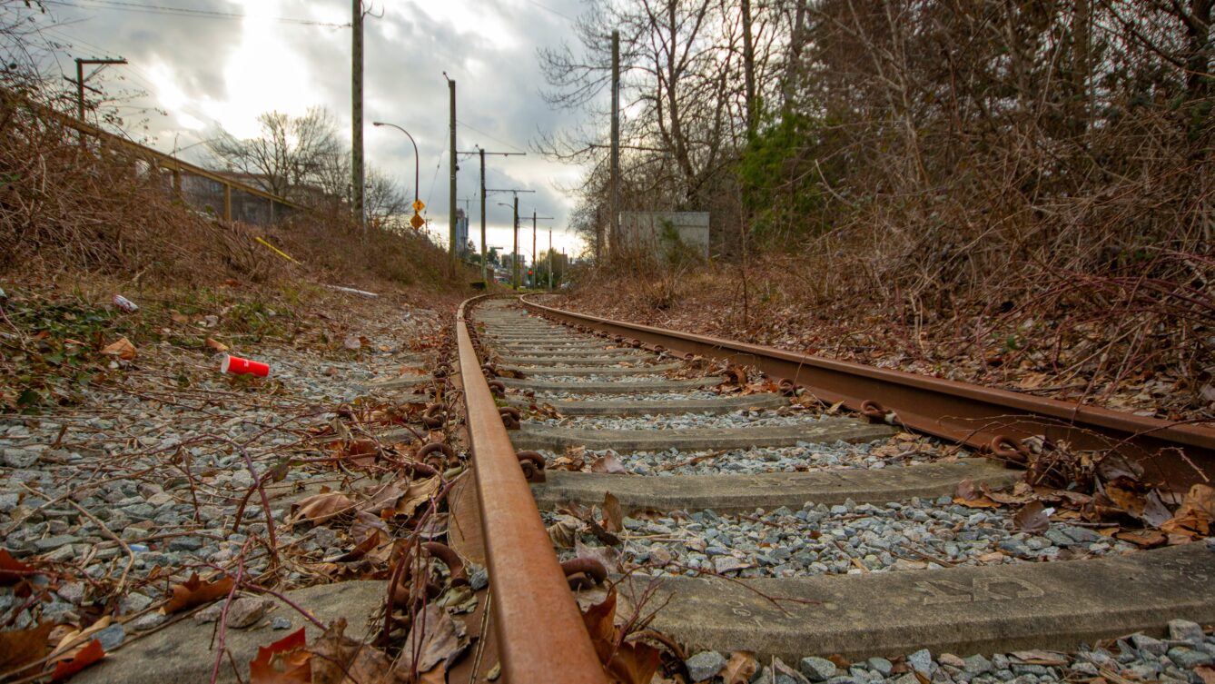 Fot:ewan-streit/unsplash