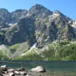 Fakty Plus Informacje