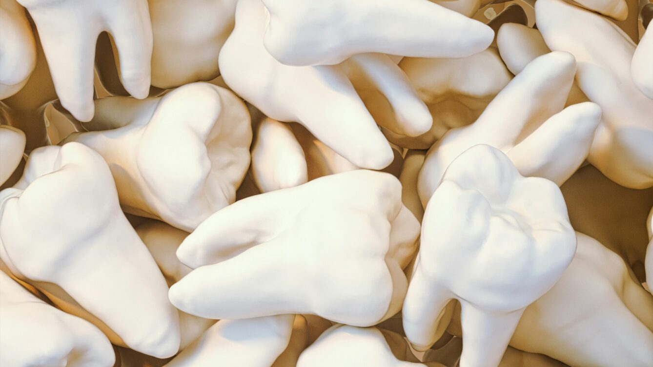 Fakty Plus Informacje