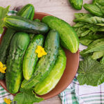 Świeże ogórki z warzywnika. Fot: freepik