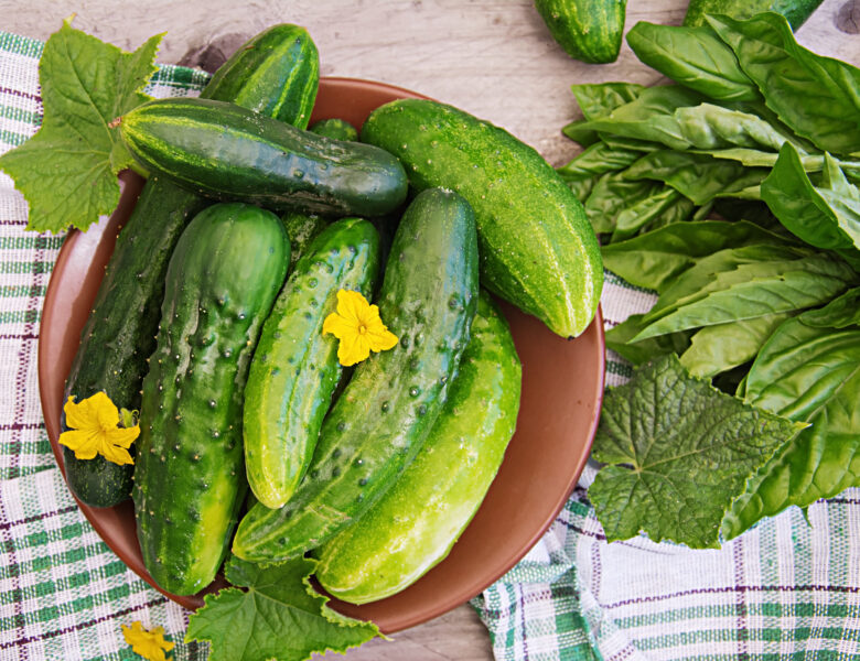 Świeże ogórki z warzywnika. Fot: freepik