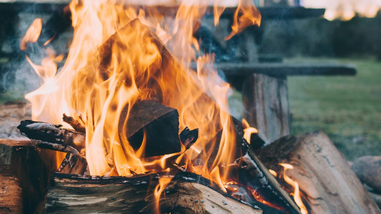 Fot: mark tegethoff/unsplash