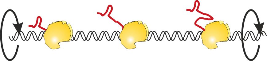 Fakty Plus Informacje