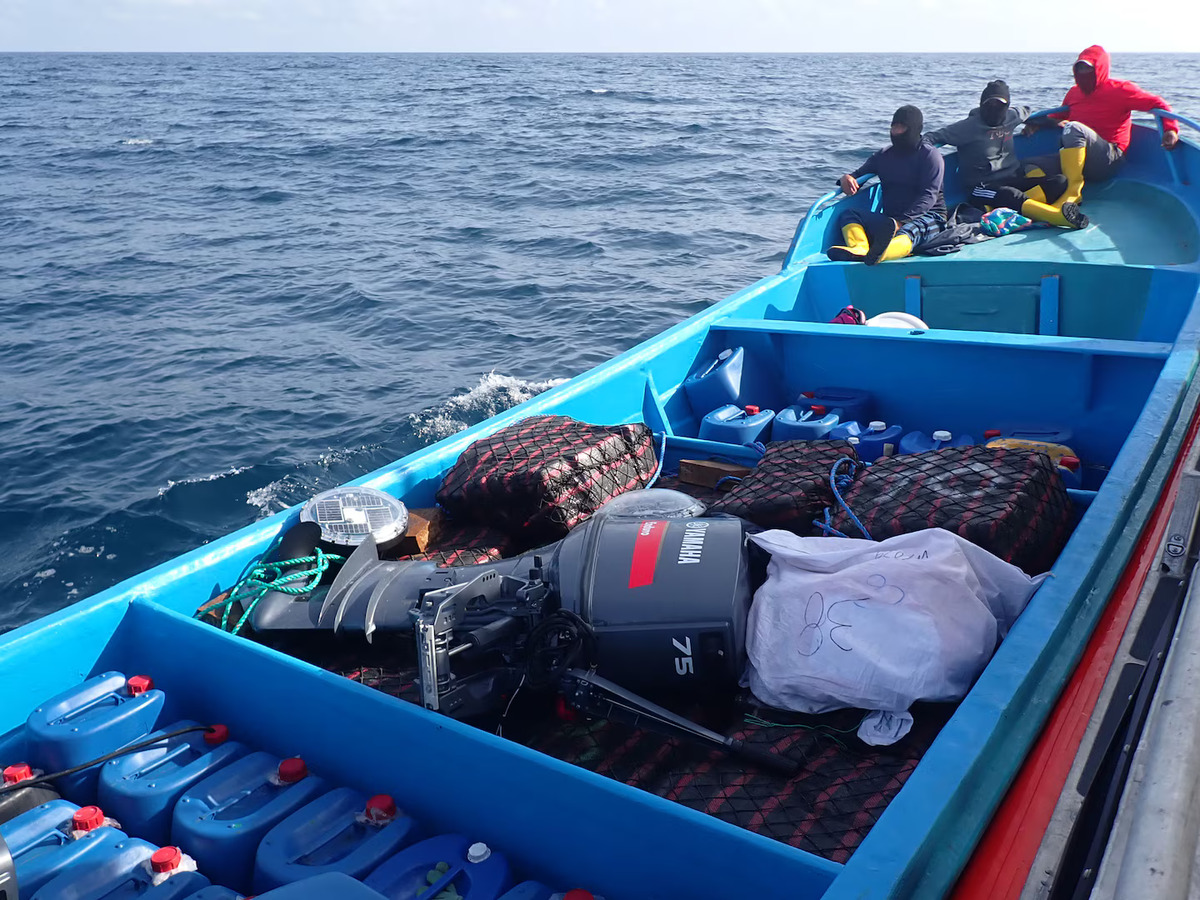 Fakty Plus Informacje