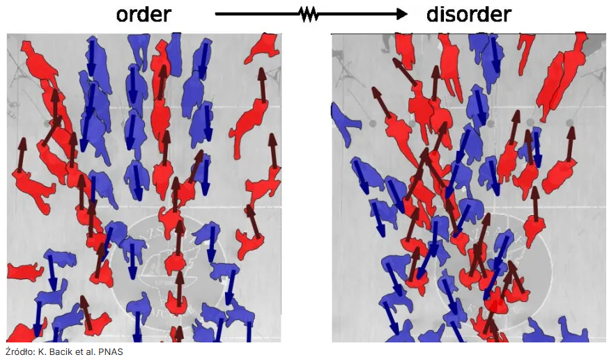 Fakty Plus Informacje