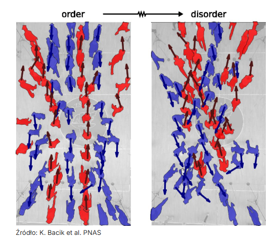 Fakty Plus Informacje