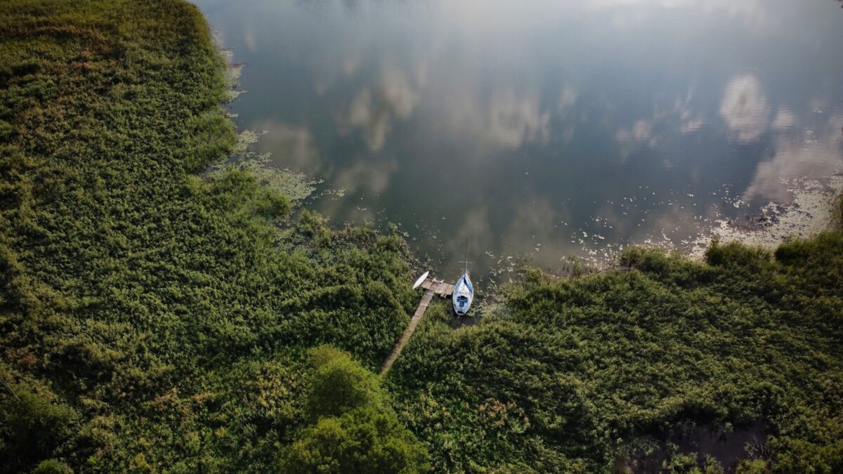 Fakty Plus Informacje