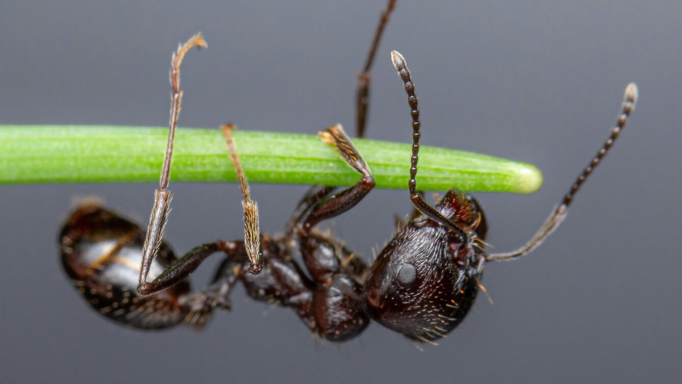 Fot: Jovica Ilievski/unsplash