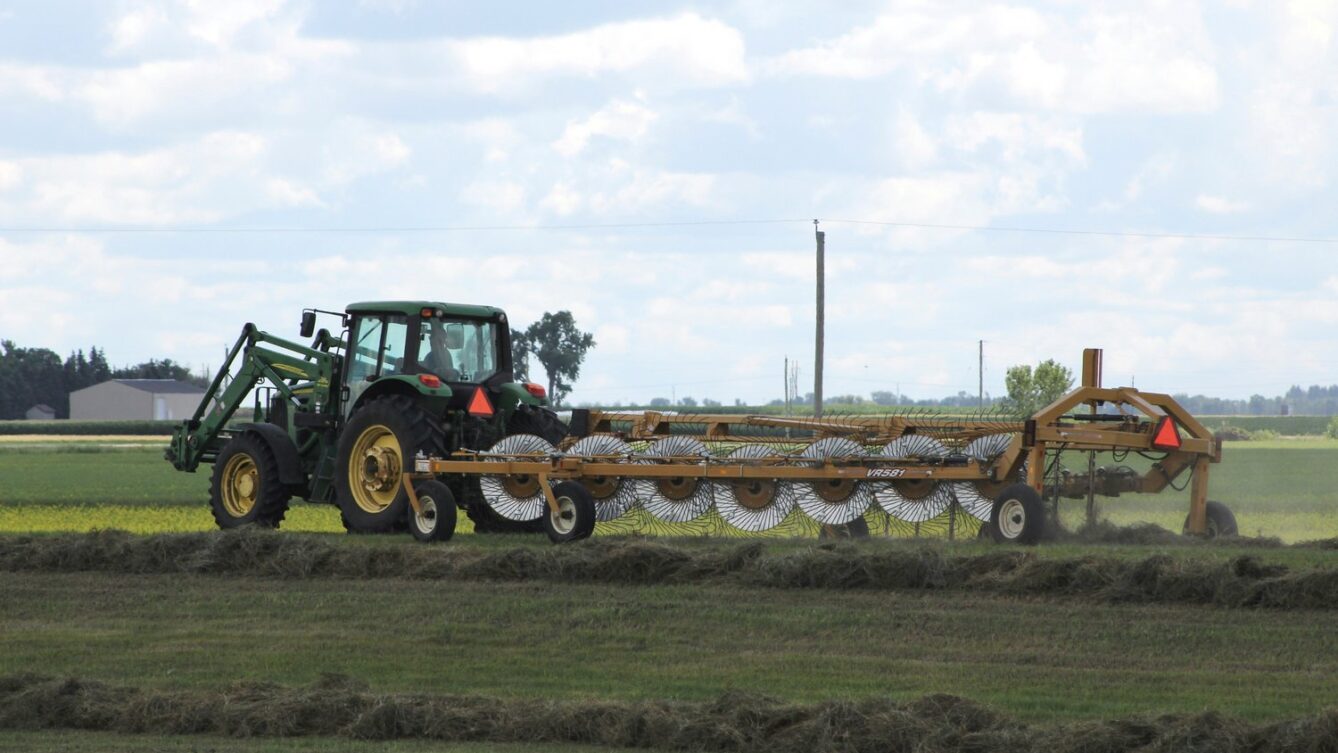 Fot: Teresa Kornelsen/unsplash