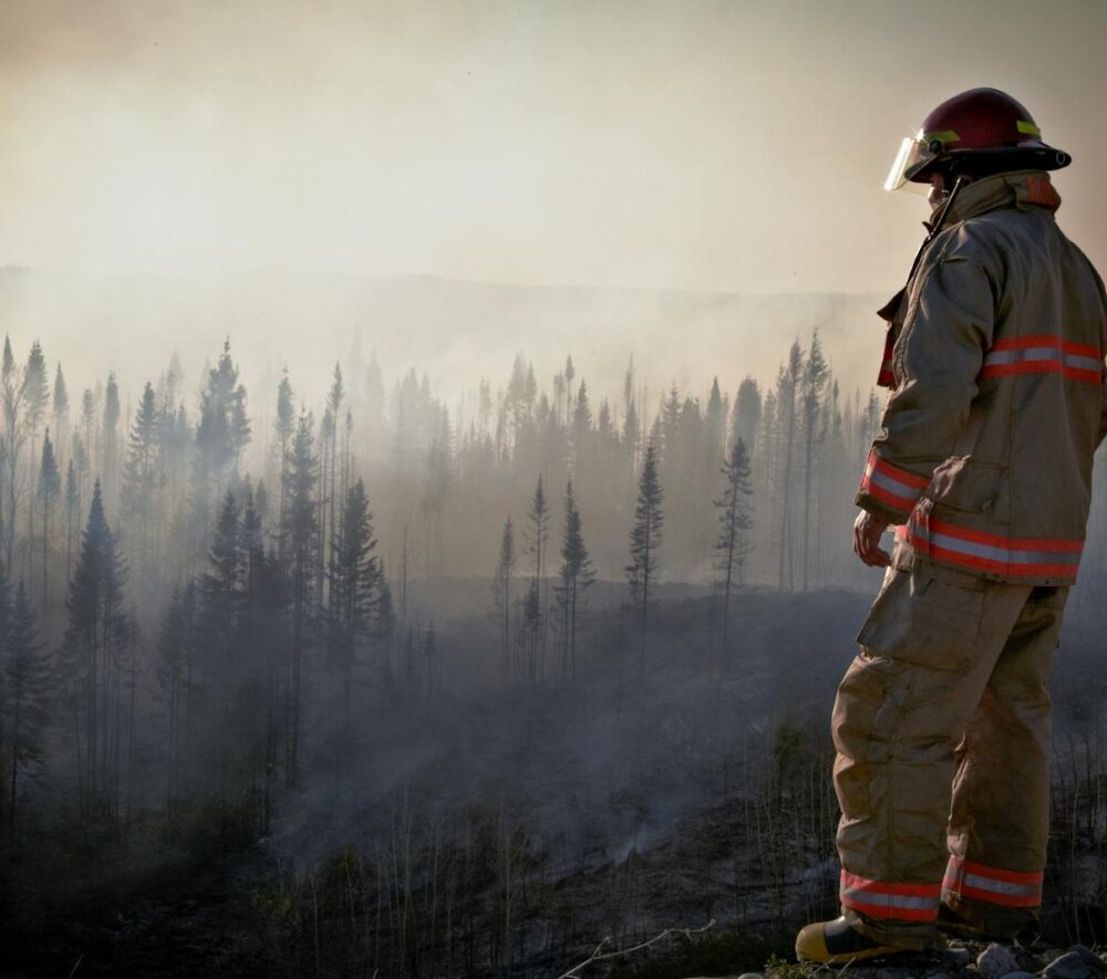 Fakty Plus Informacje