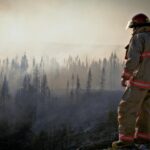 Fakty Plus Informacje