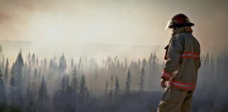 Fakty Plus Informacje