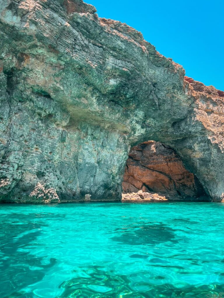 Fakty Plus Informacje