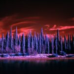 Fakty Plus Informacje