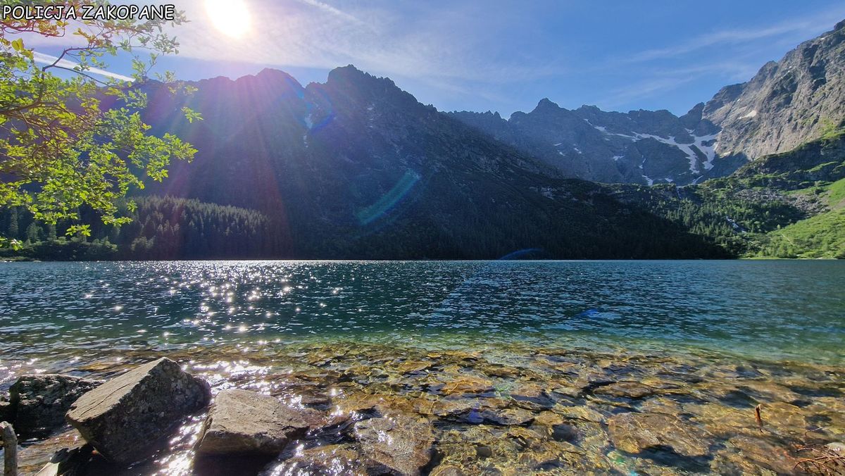 Fakty Plus Informacje