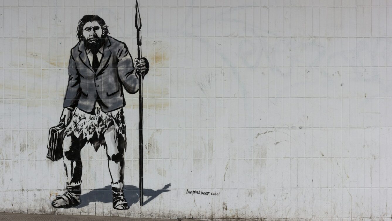 Fakty Plus Informacje