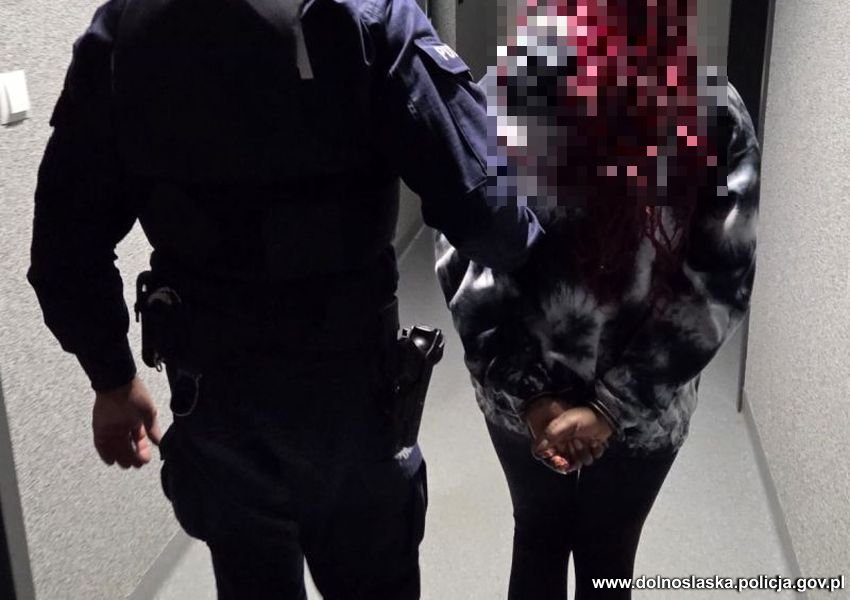 Fakty Plus Informacje