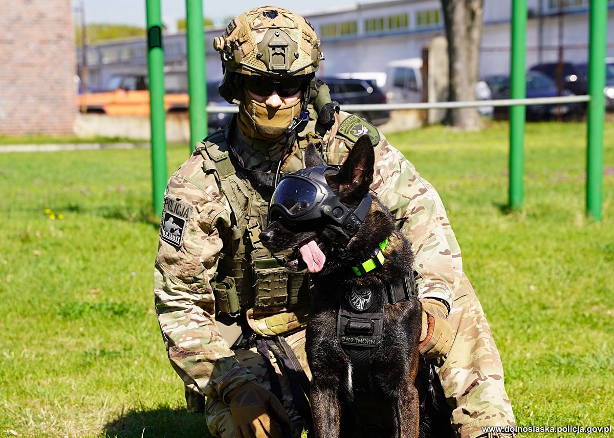 Fakty Plus Informacje