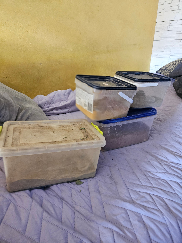 Fakty Plus Informacje