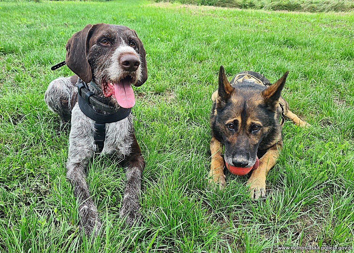 Fakty Plus Informacje