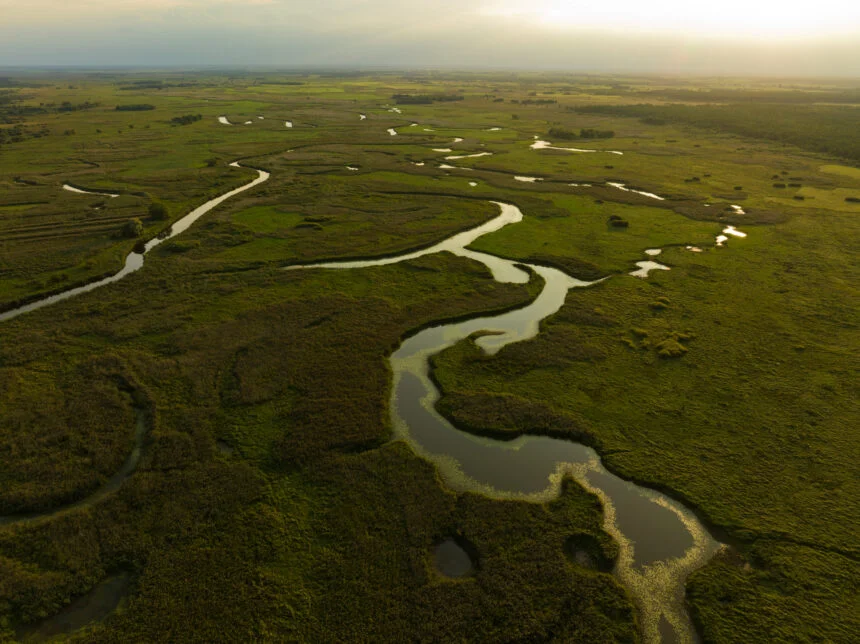 Fakty Plus Informacje