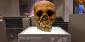 Fakty Plus Informacje