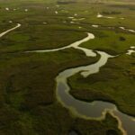 Fakty Plus Informacje