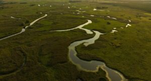 Fakty Plus Informacje