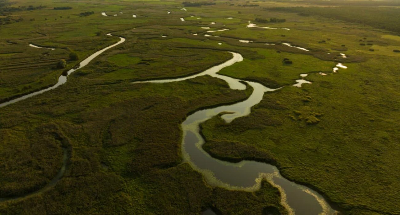 Rozlewiska Biebrzy. Fot. Miron Bogacki