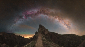 Fakty Plus Informacje