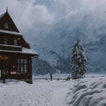 Fakty Plus Informacje