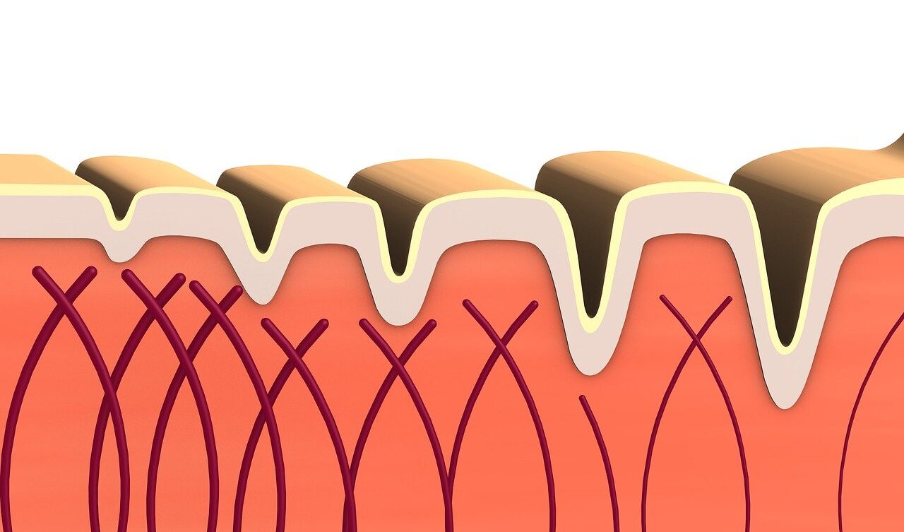 Photo by naturwohl-gesundheit