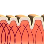 Fakty Plus Informacje