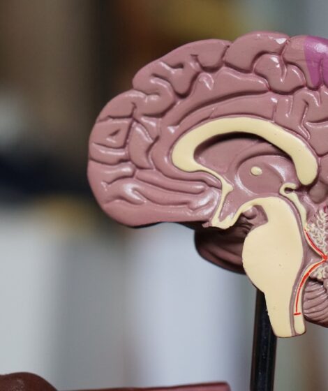 Fakty Plus Informacje