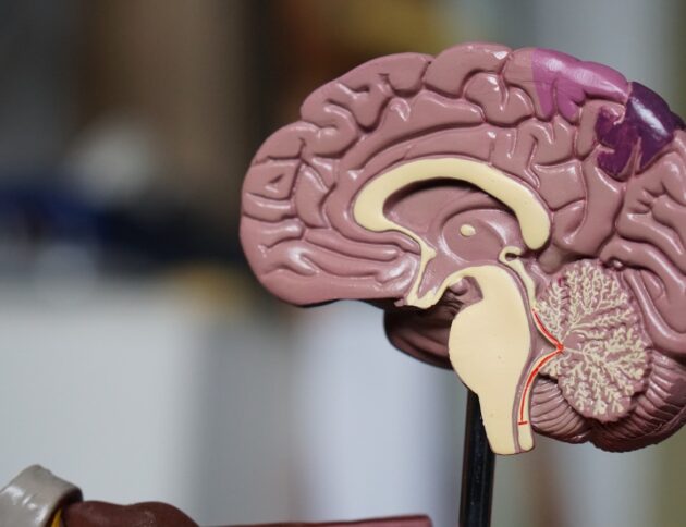 Fakty Plus Informacje