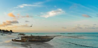 Fakty Plus Informacje