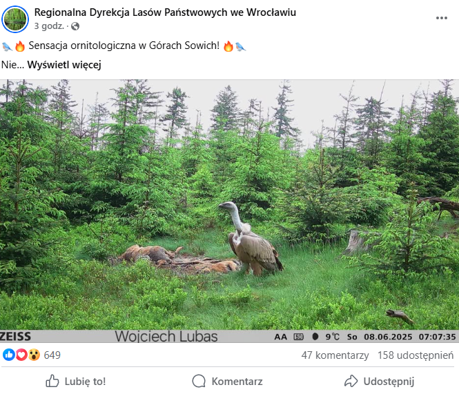 Fakty Plus Informacje