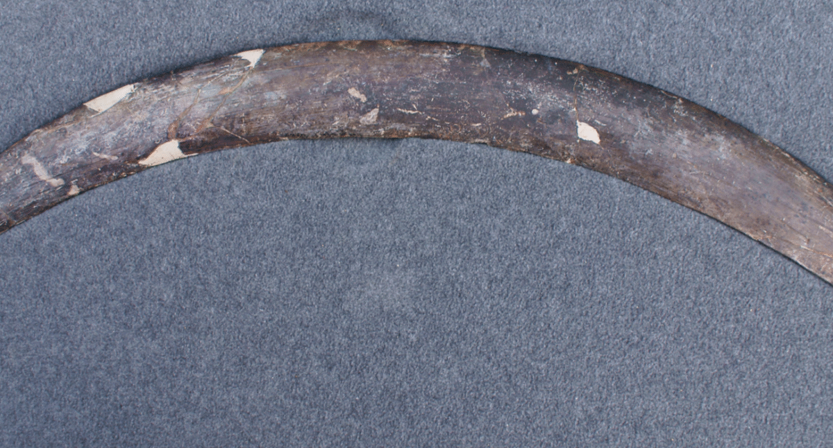 Bumerang z Jaskini Obłazowej