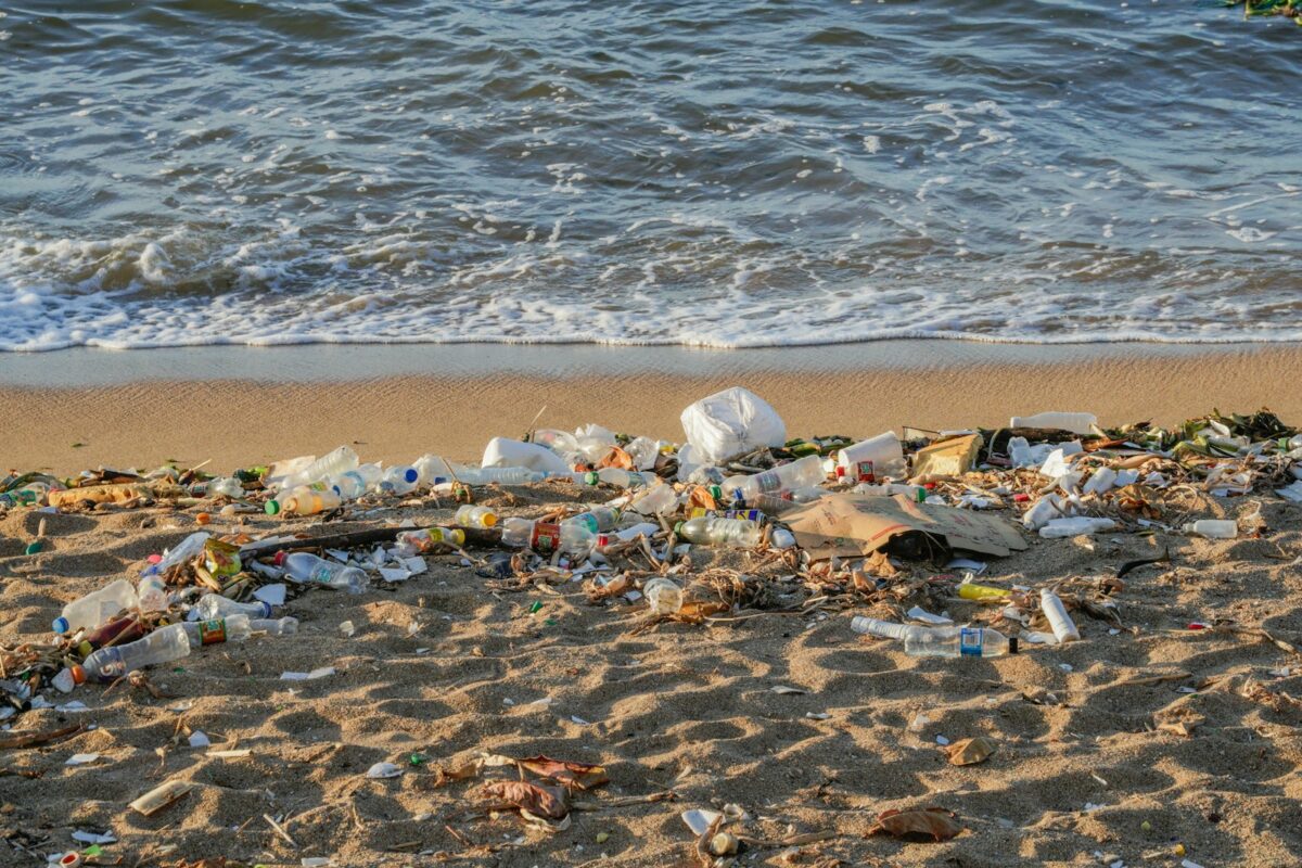 Fakty Plus Informacje