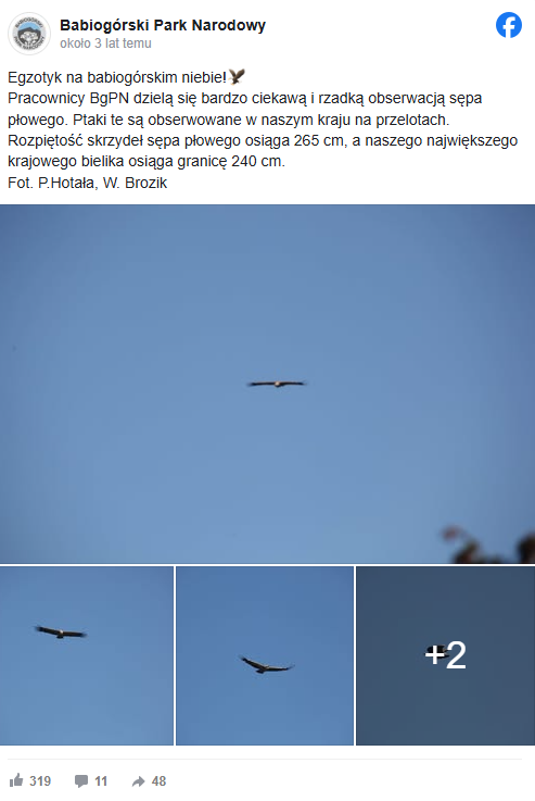 Fakty Plus Informacje