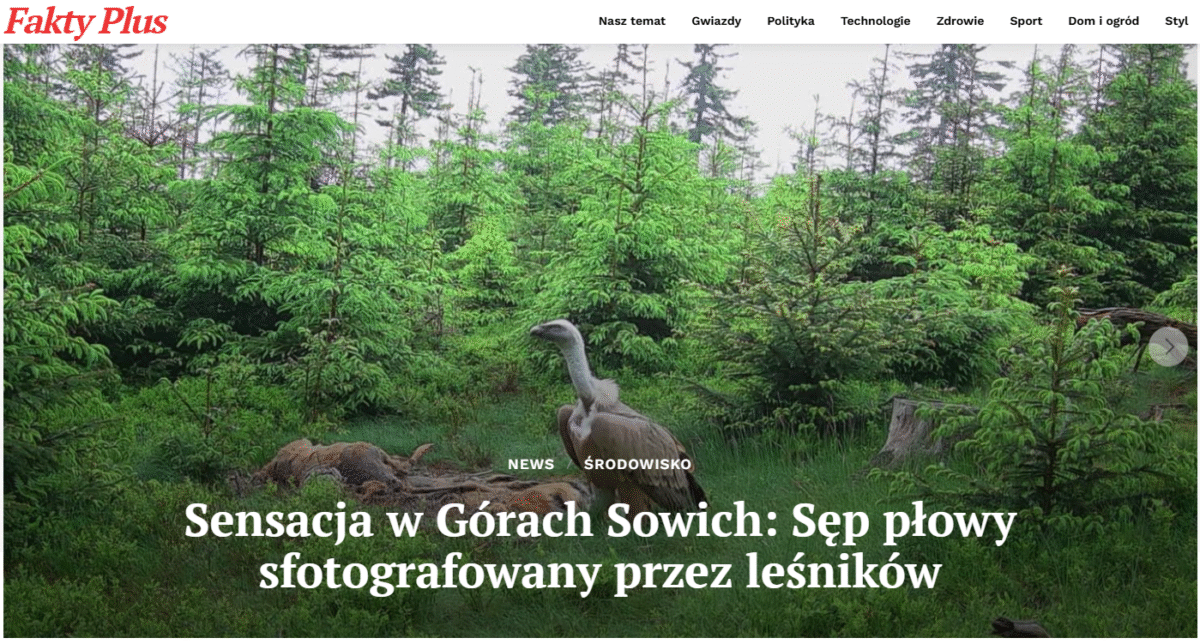 Fakty Plus Informacje