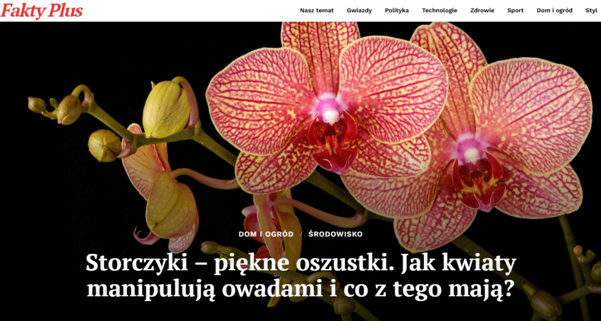 Fakty Plus Informacje