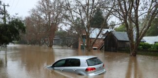 Fakty Plus Informacje