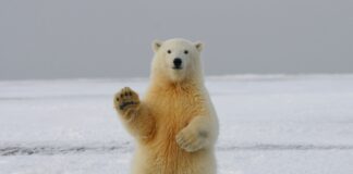 Fakty Plus Informacje