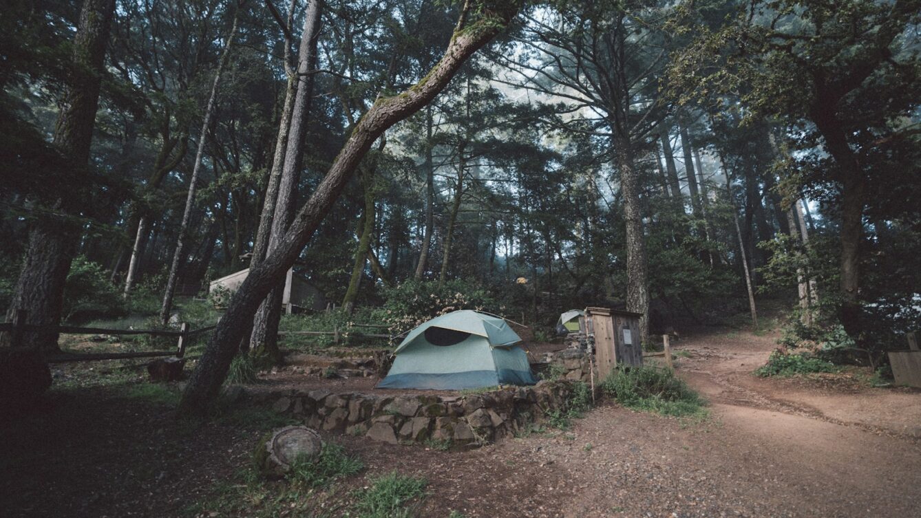 Photo by Kevin Wolf/Unsplash