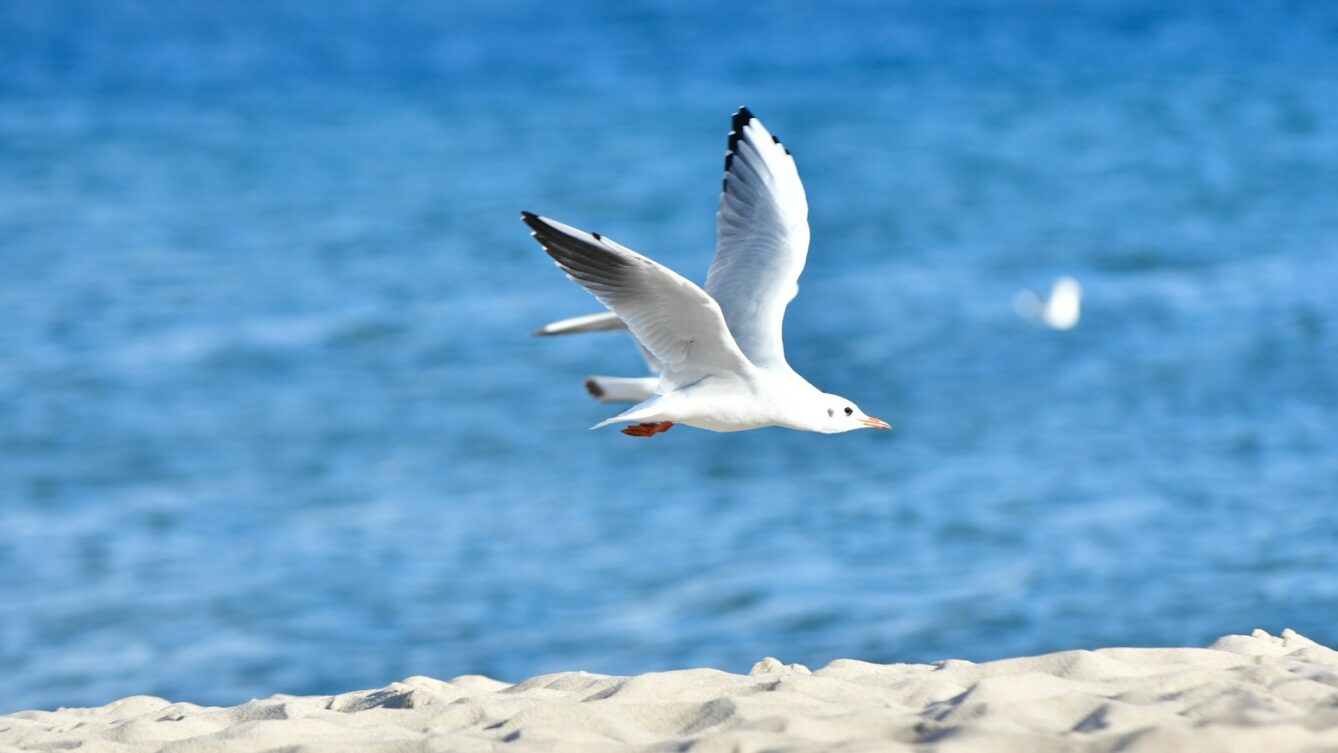 Photo by Mateusz Strzeszewski/unsplash