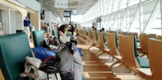 Fakty Plus Informacj