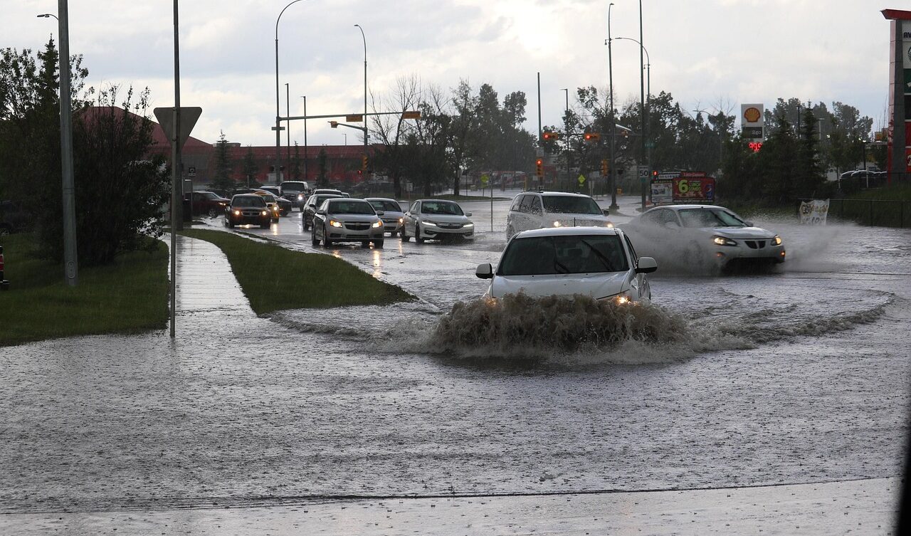 Photo by AllThingsCoastal/Pixabay