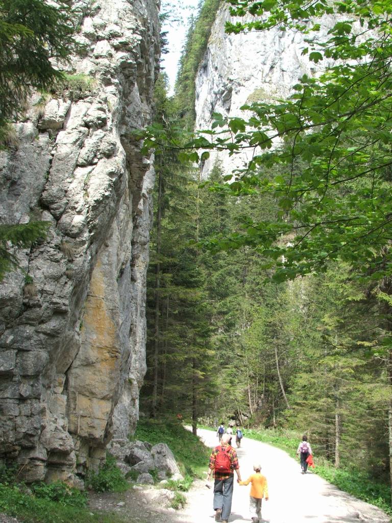 wąwóz górski ze szlakiem turystycznym